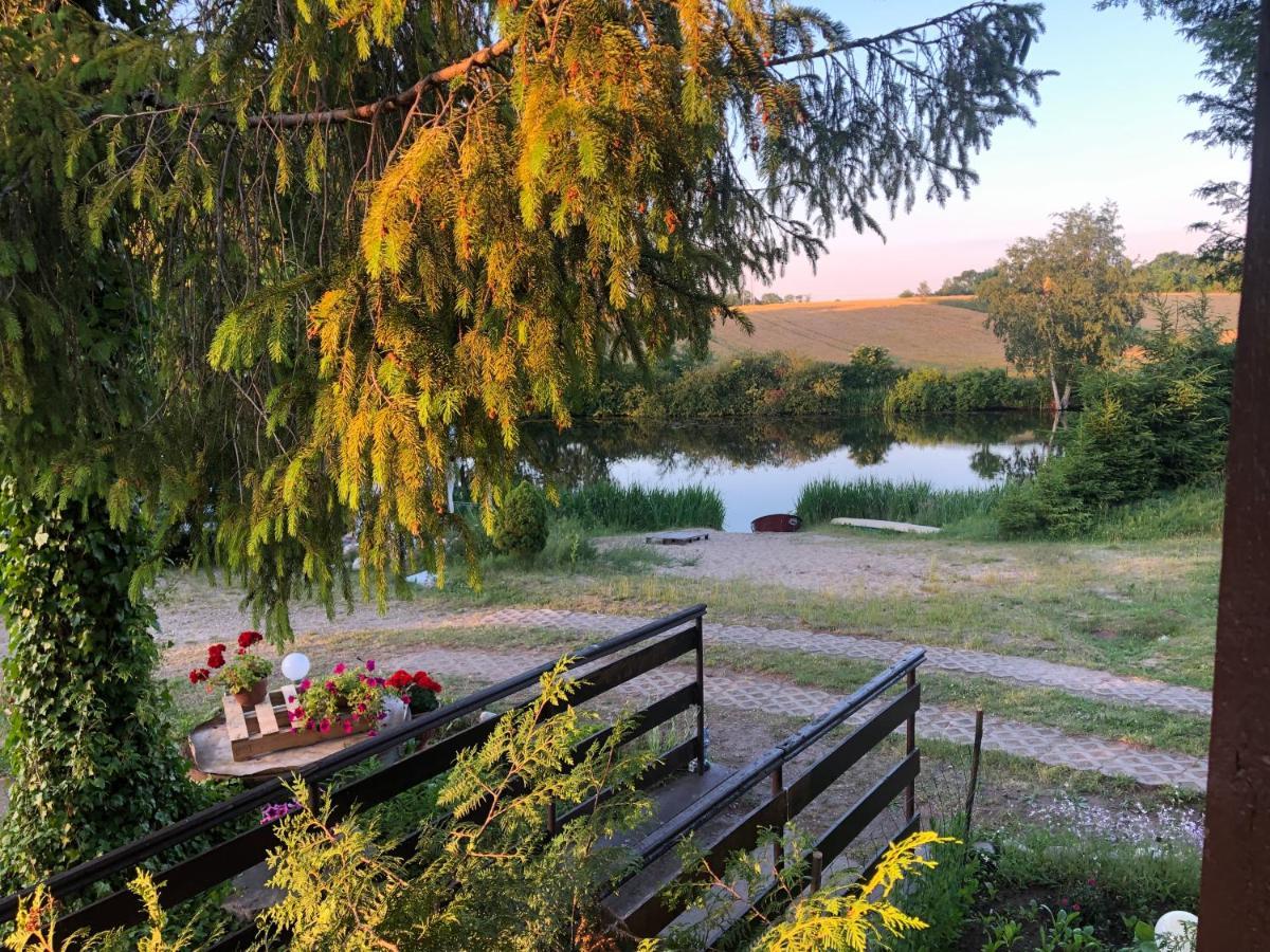 Kaszubski Loft Z Wlasnym Stawem Rybnym Żukowo Exterior foto